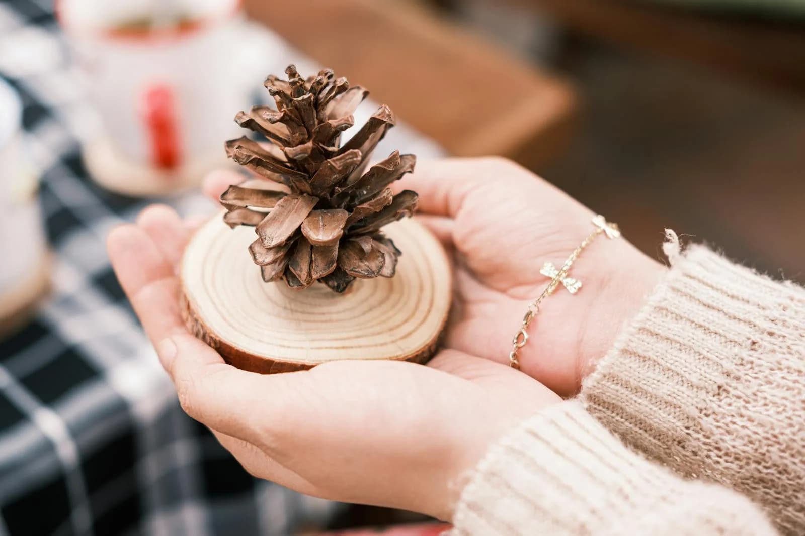Idées cadeaux. Une personne tenant une pomme de pin sur une assiette en bois noël écoresponsable.