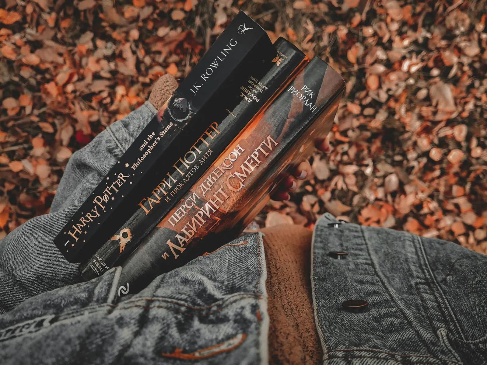 Une scène de livres confortable tenue sur les feuilles d'automne, mettant en valeur des titres populaires de séries bien connues.